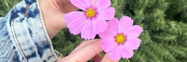 _Isha_Isha_'s profile banner image