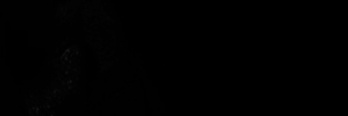 505 banner