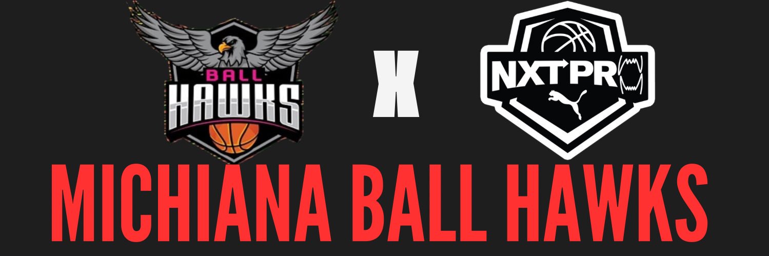 Michiana Ball Hawks banner