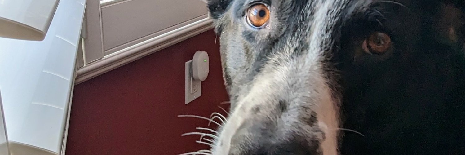 toasterovenhead's profile banner image