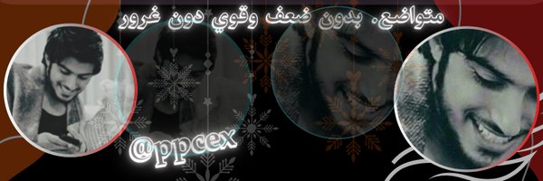 ppcex Profile Banner