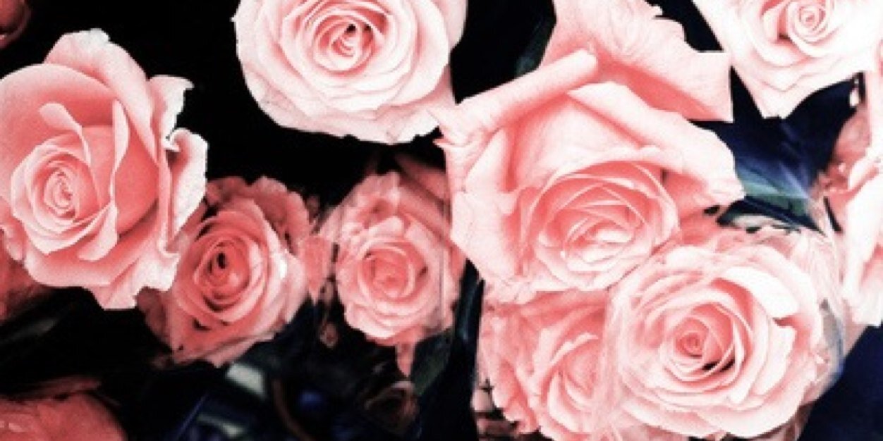 Roomijs__'s profile banner image