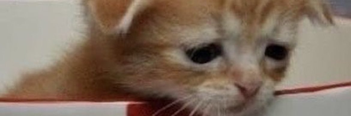 myupvd's profile banner image