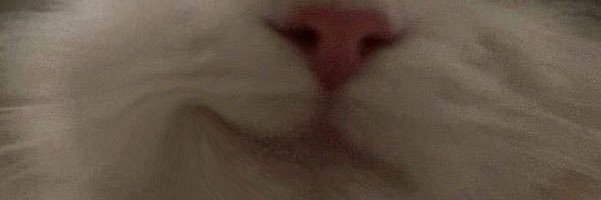 Zek099's profile banner image
