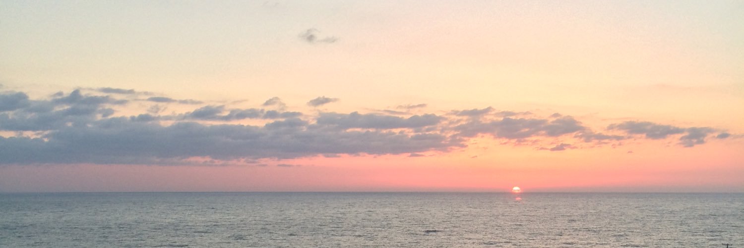 goririn999's profile banner image