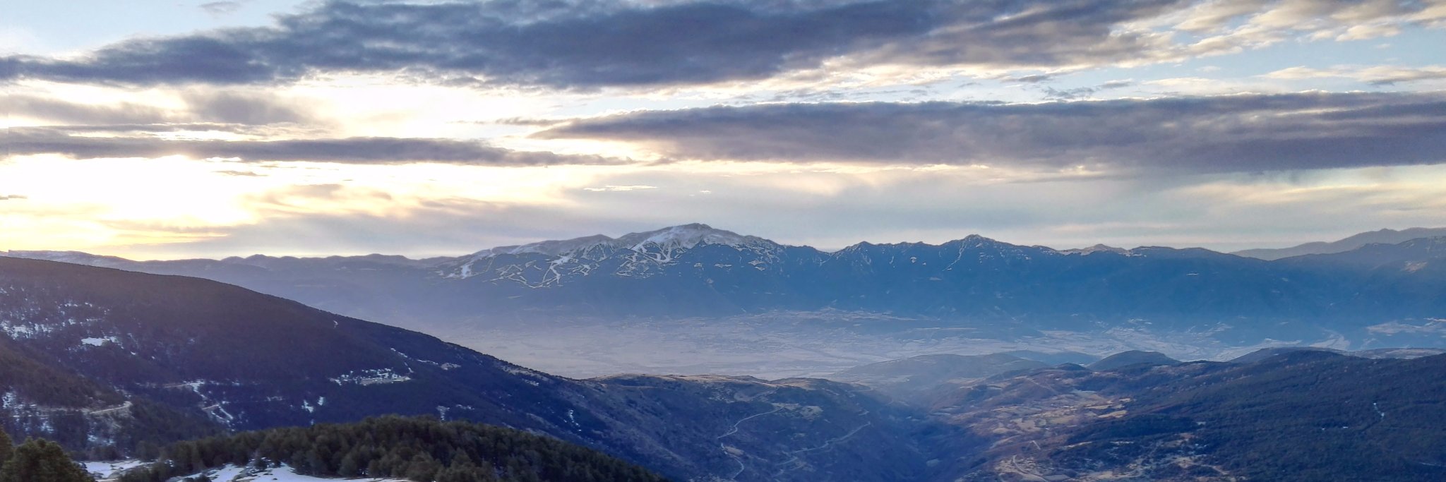 carla arrieta banner