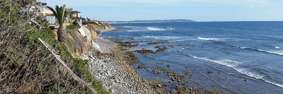 Dave Perrussel banner