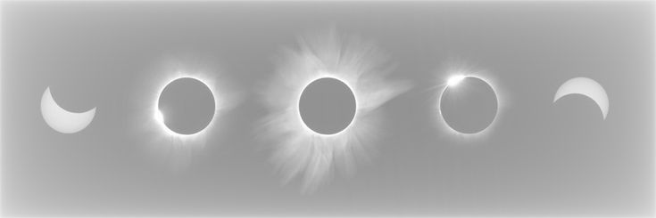 vanti ᵗᵃʳᵒᵗꜝ banner