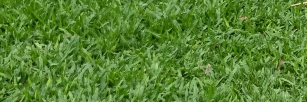 bator compulsivo 🧢 banner