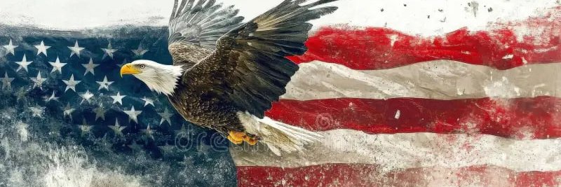 Red Line Report 🇺🇸 banner