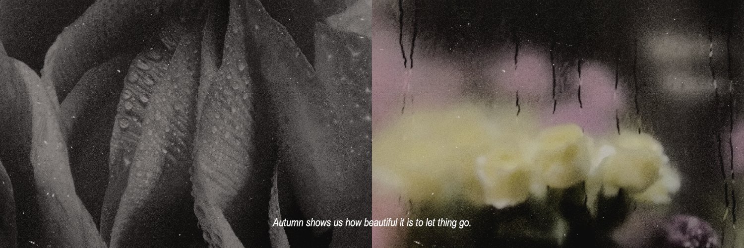 𝖤𝗅𝖾𝖺𝗇𝗈𝗋 banner