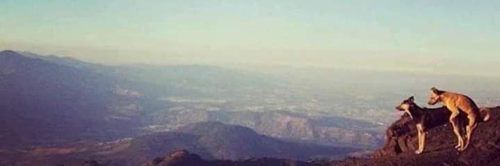 ygomcs's profile banner image