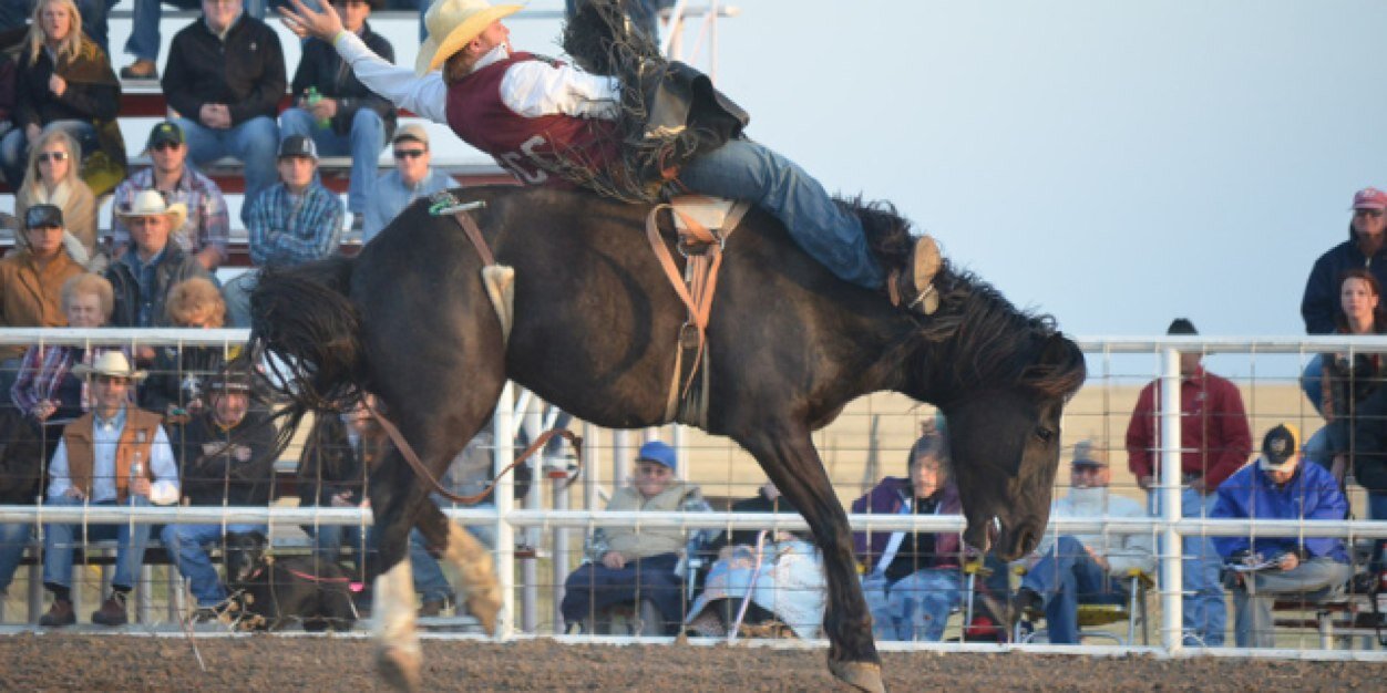 Riggin_kicker's profile banner image