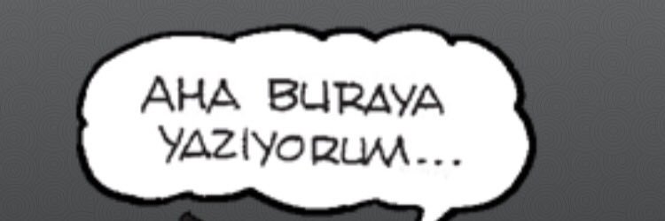 ayse_onay's profile banner image