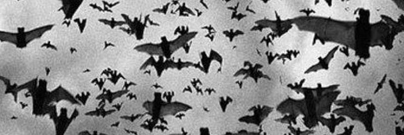 michael 🦇 18+ banner