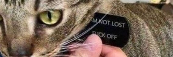stjohnson's profile banner image