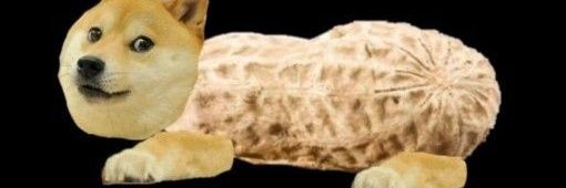 payungtebuh's profile banner image