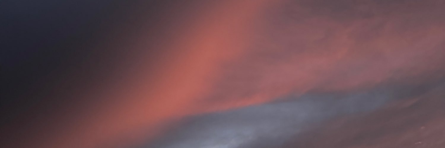 pippo banner