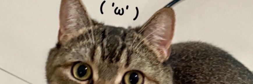 FernDamn's profile banner image