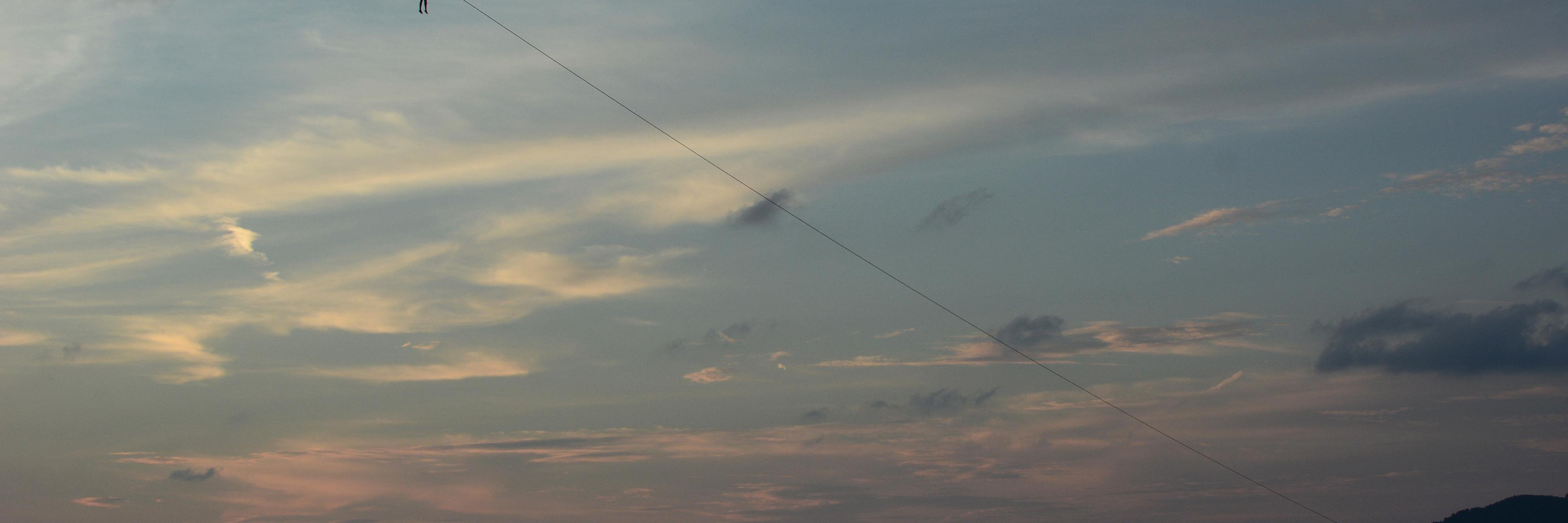 GeorgiaJABird's profile banner image