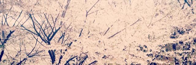 redala00's profile banner image