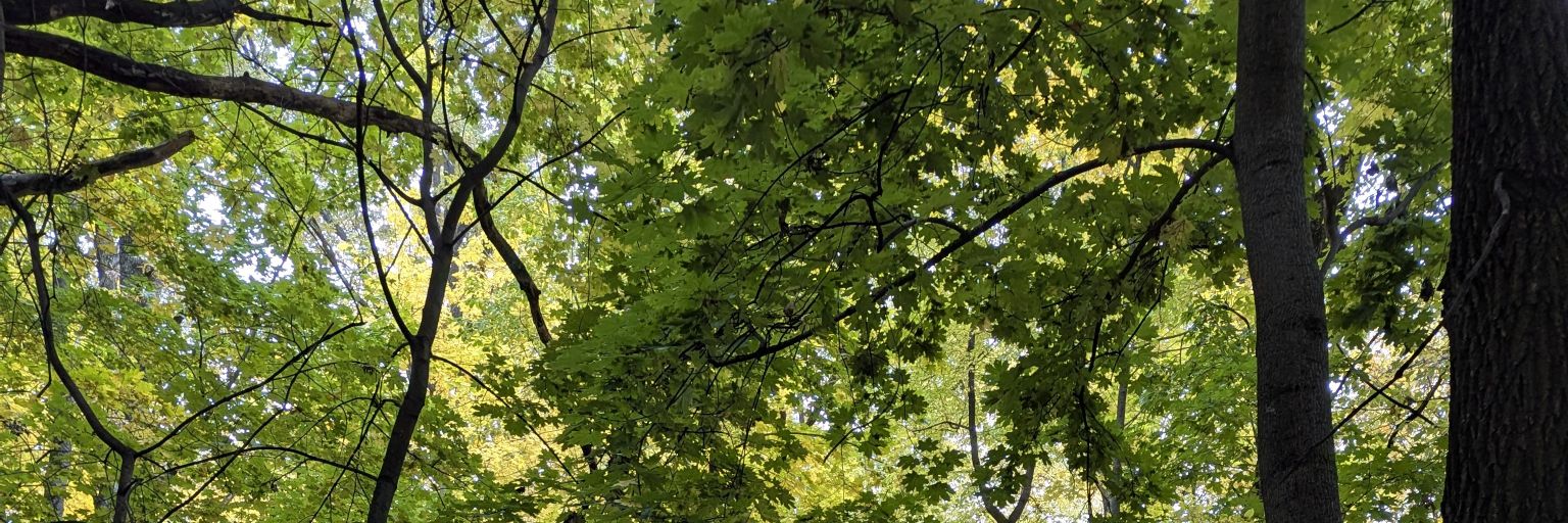 Ага угу banner