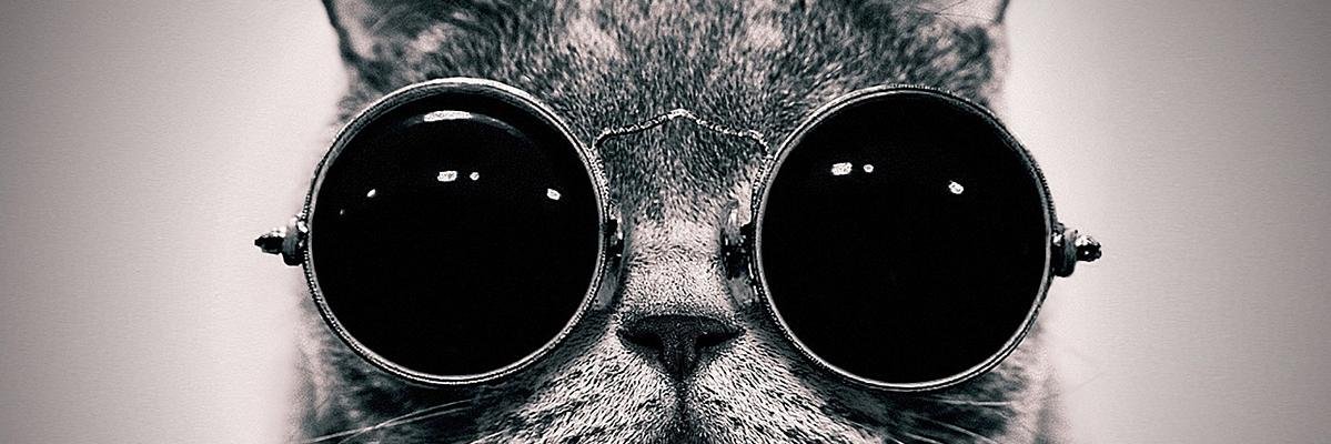 arangotang's profile banner image