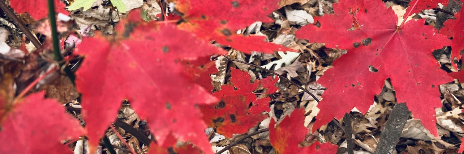 lasmith64's profile banner image
