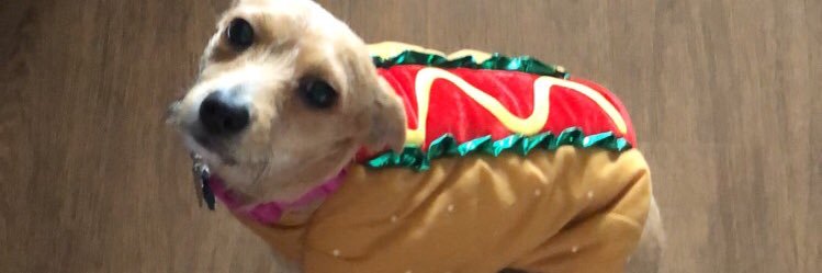 generically_sad's profile banner image