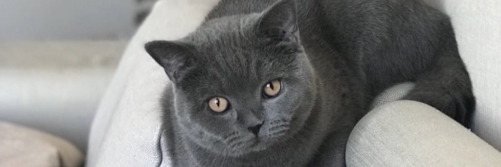 yalcinince's profile banner image