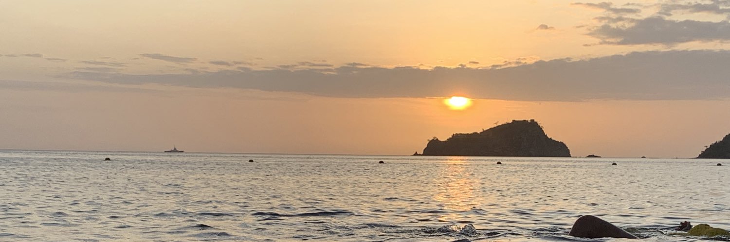tdanils's profile banner image