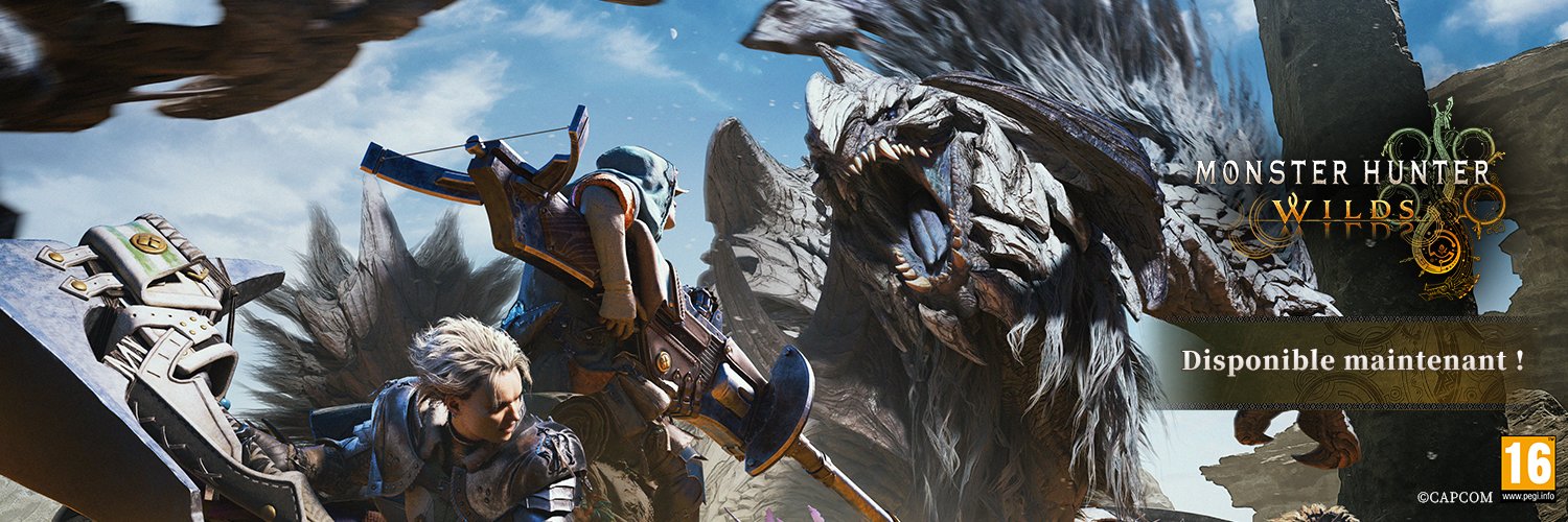 Monster Hunter FR's banner