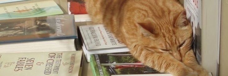 재은 — 💥🎧🍵 rest banner