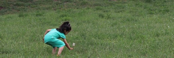 torghe4321 Profile Banner