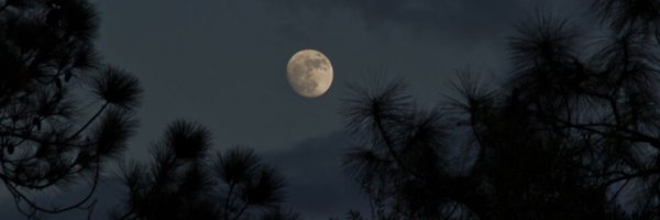 00h00moins1 Profile Banner