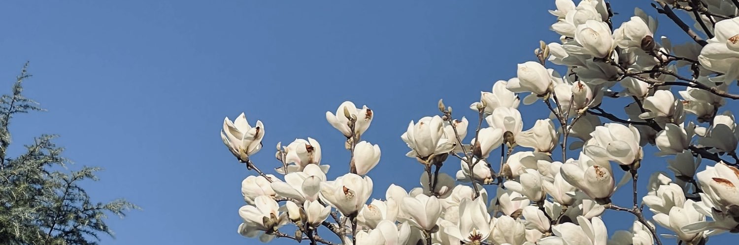 کیمیا‌شون banner