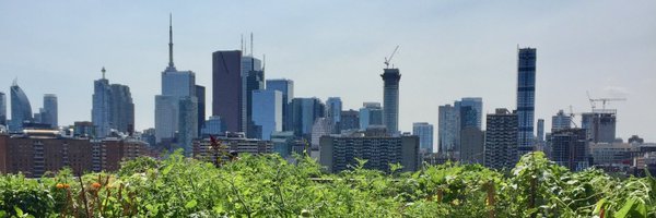 SarahAElton Profile Banner