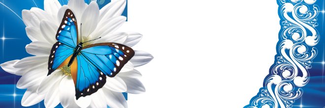 catiahrj's profile banner image
