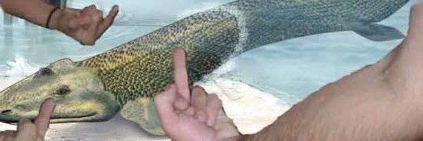 maaandook Profile Banner