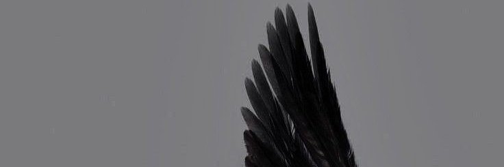 Laguz banner