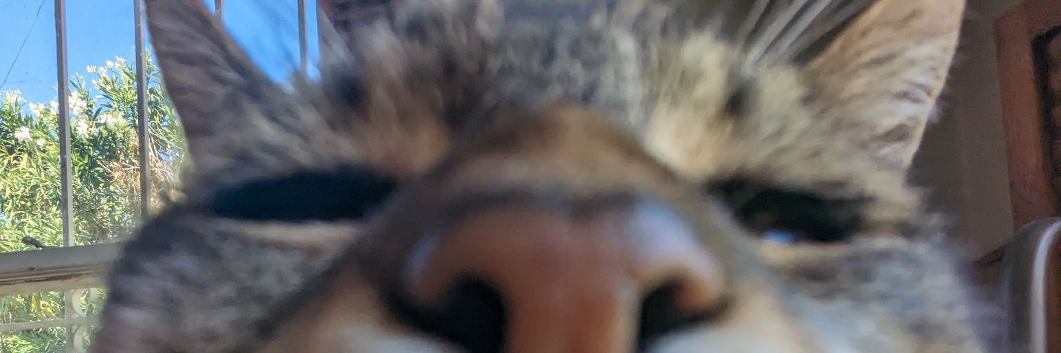 nellawnoremac's profile banner image