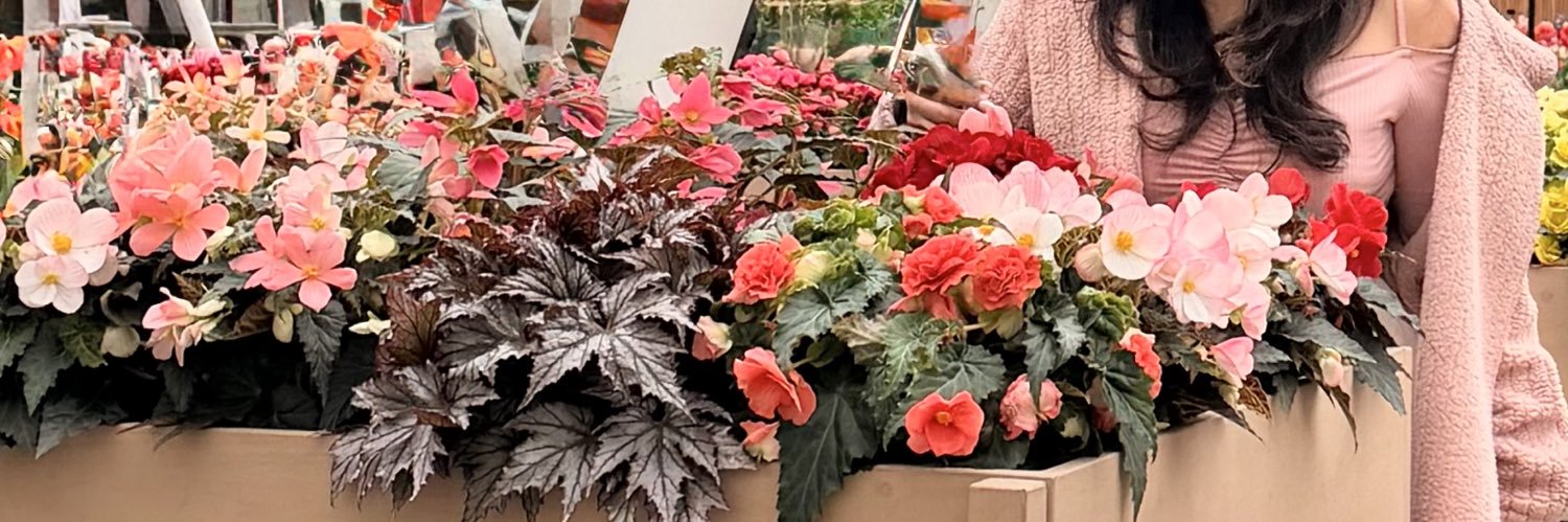 𝗹𝘆𝗮𝗻𝗲 𝘀𝗸𝘆𝗮𝗲𝘁𝗵𝗲𝗿 ❦ banner