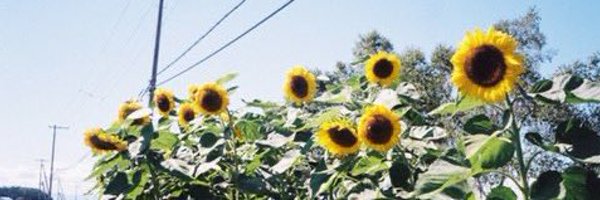 notgonnalee Profile Banner