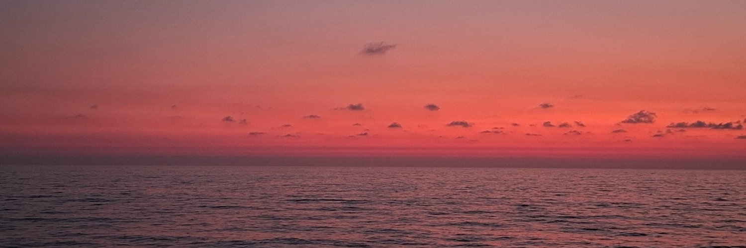 FF106431's profile banner image