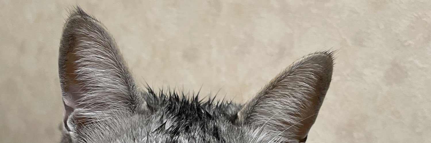 るはちの日常 banner