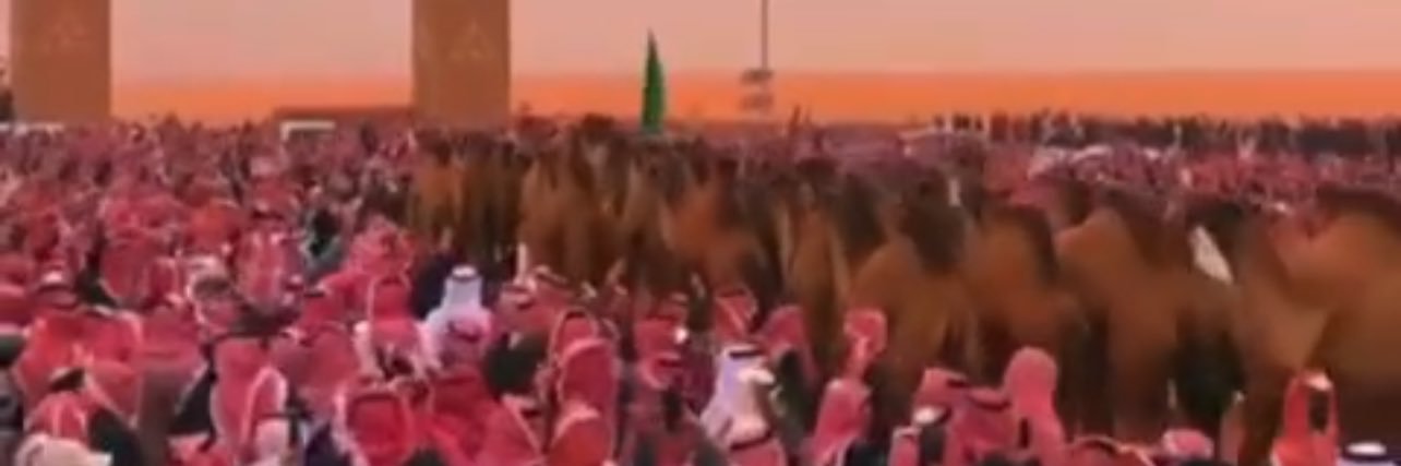 بـندر بــن مـحـمد . banner