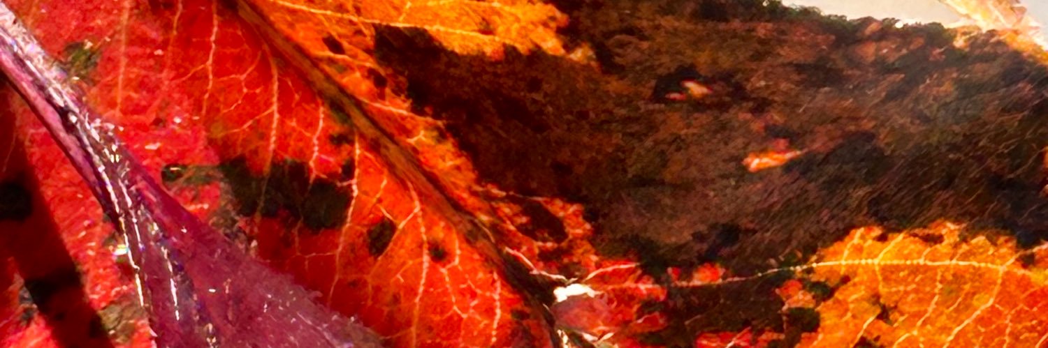 IsmailF1984's profile banner image