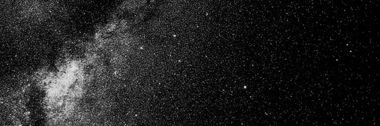 TurcanNico95235's profile banner image