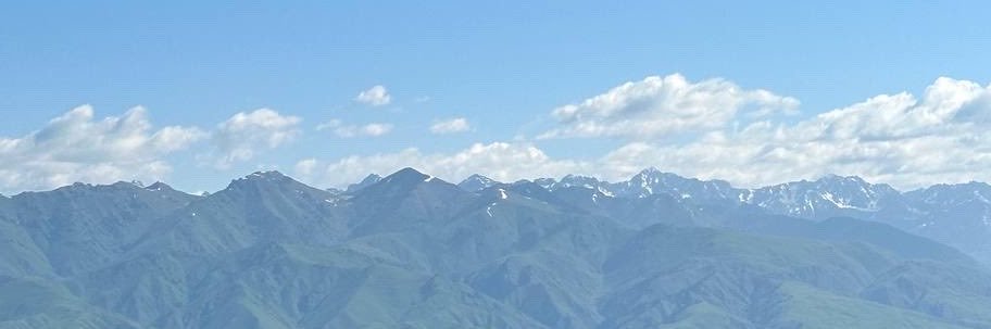 muyu7779's profile banner image