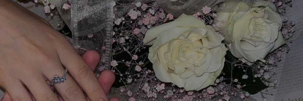 1ninoo_ Profile Banner